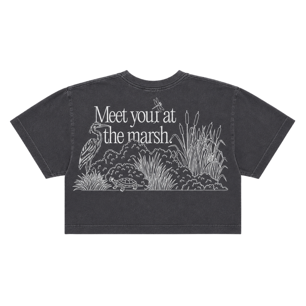 Meet You at the Marsh Crop