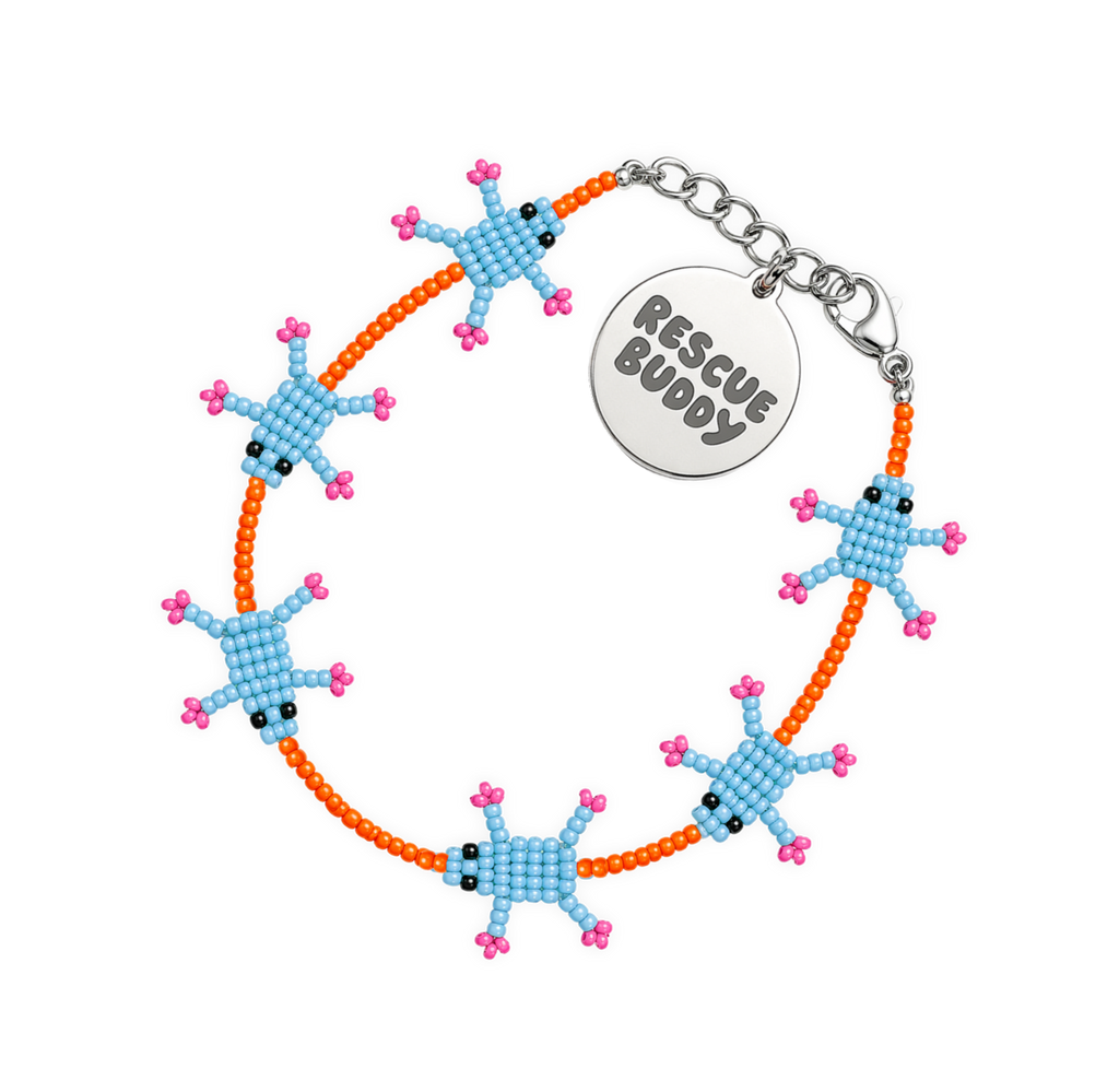 Frog Rescue Buddy Bracelet Kit