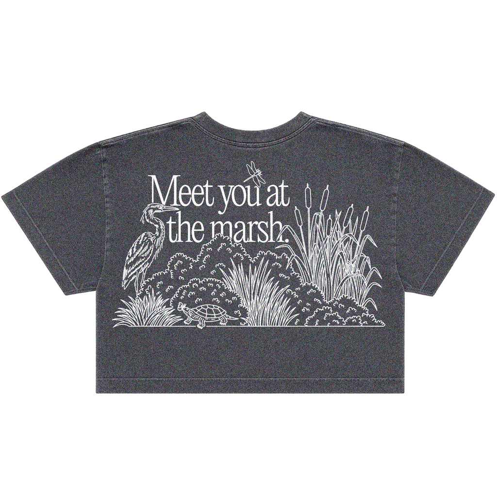 Meet You at the Marsh Crop
